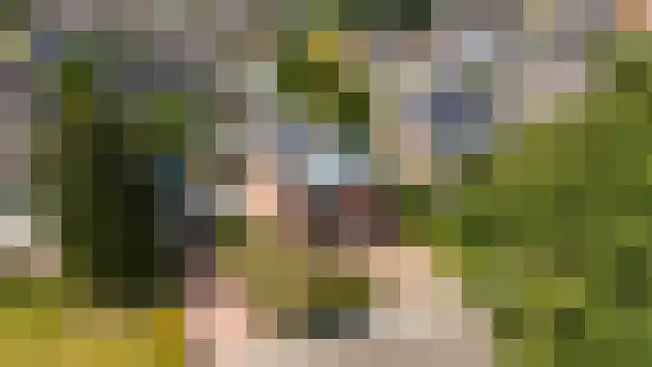 Loete 24 Jubbega thumbnail 17