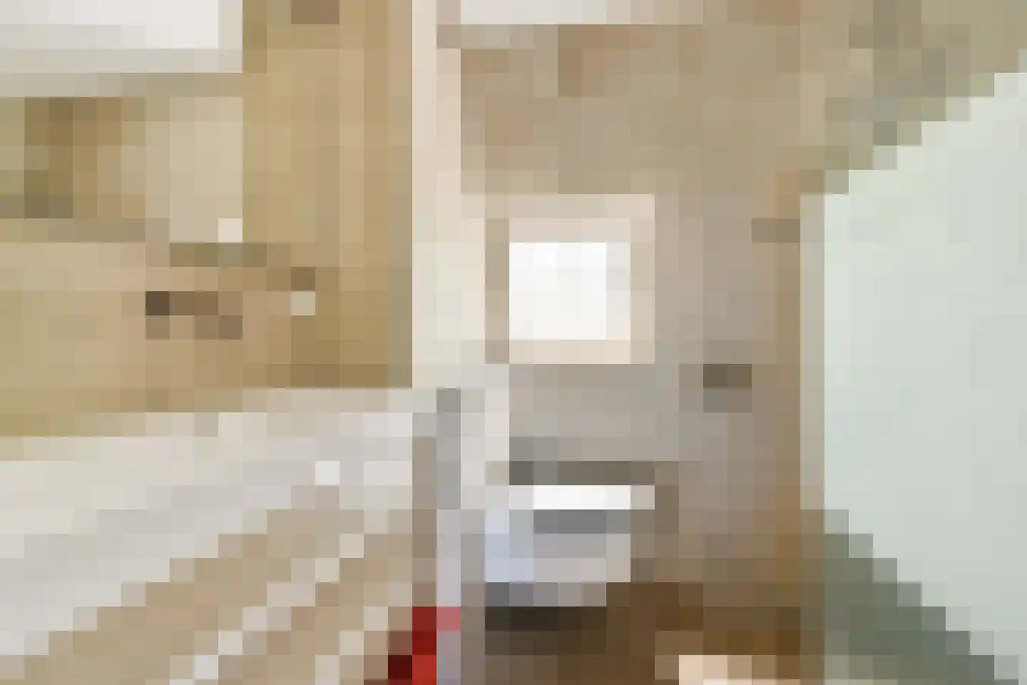 Loethoelilaan 133 Amstelveen thumbnail 10