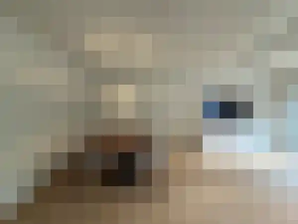 Loethoelilaan 56 Amstelveen thumbnail 11