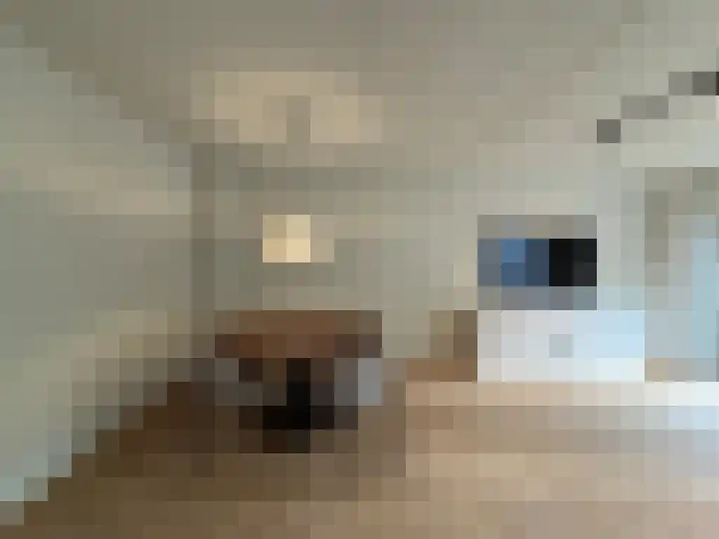 Loethoelilaan 56 Amstelveen thumbnail 5