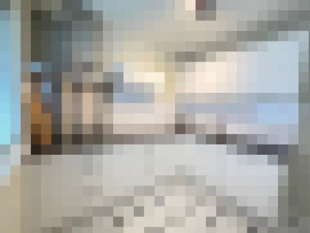 Loethoelilaan 56 Amstelveen thumbnail 6