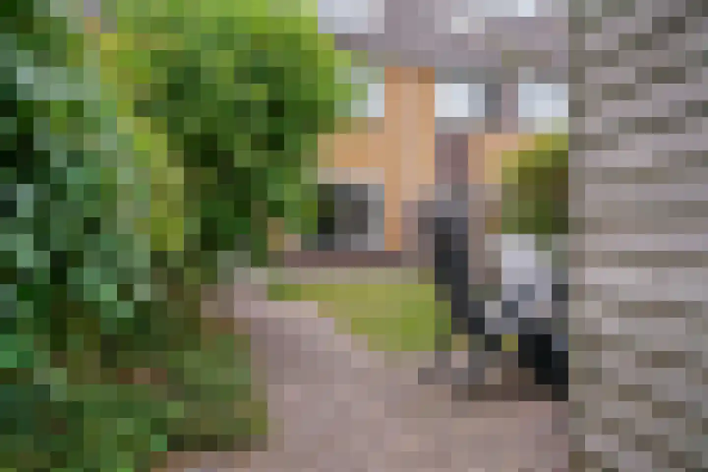 Loethoelilaan 81 Amstelveen thumbnail 25