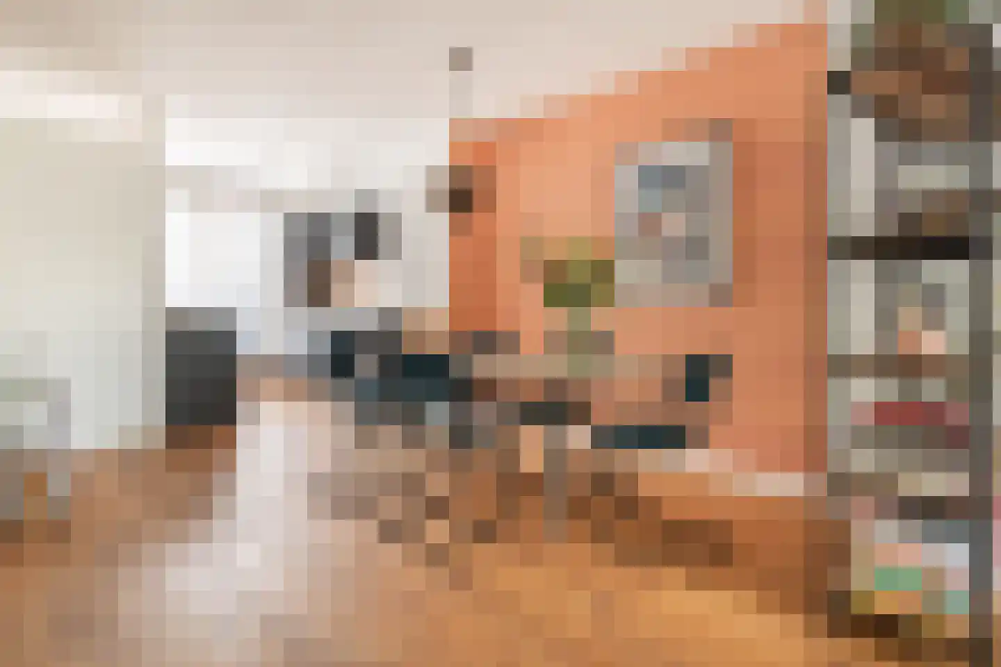 Loevenhoutsedijk 317 Utrecht thumbnail 13
