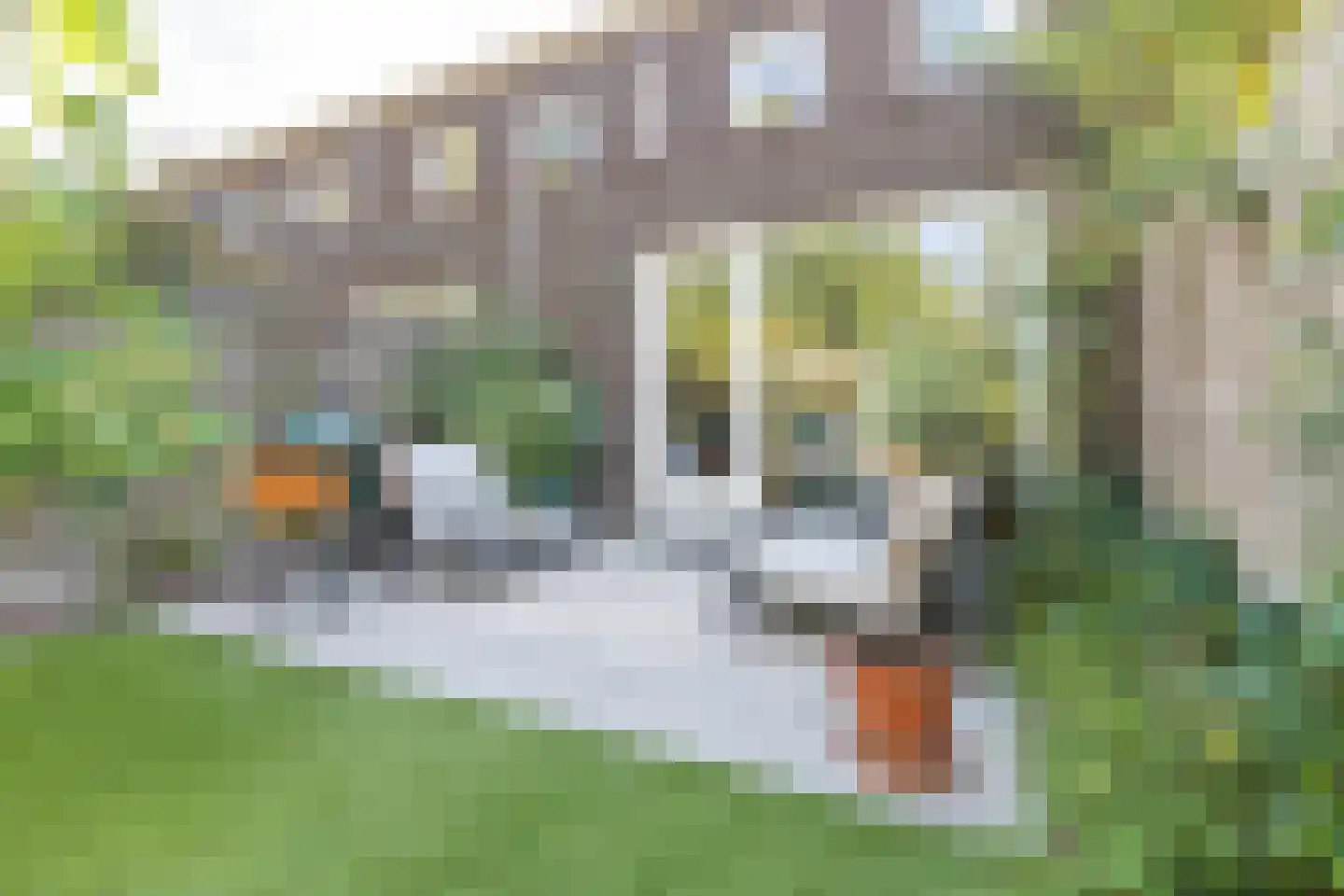 Loevenhoutsedijk 317 Utrecht thumbnail 37