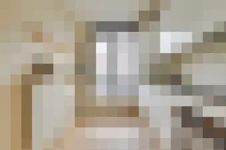 Loevenhoutsedijk 321 Utrecht thumbnail 17