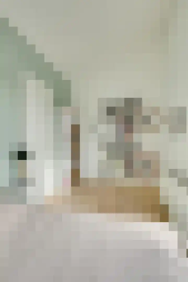 Loevenhoutsedijk 321 Utrecht thumbnail 37