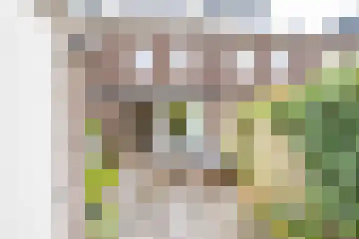 Loevenhoutsedijk 321 Utrecht thumbnail 40