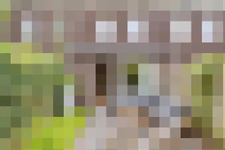 Loevenhoutsedijk 321 Utrecht thumbnail 41