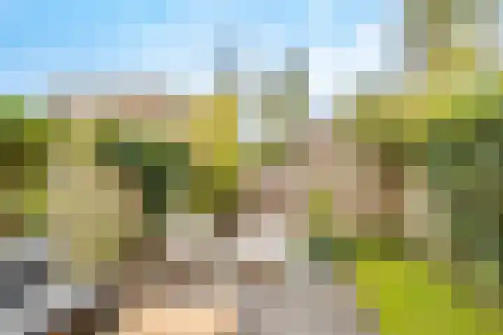 Loevenhoutsedijk 321 Utrecht thumbnail 42