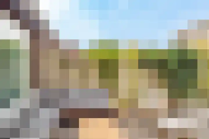 Loevenhoutsedijk 321 Utrecht thumbnail 43