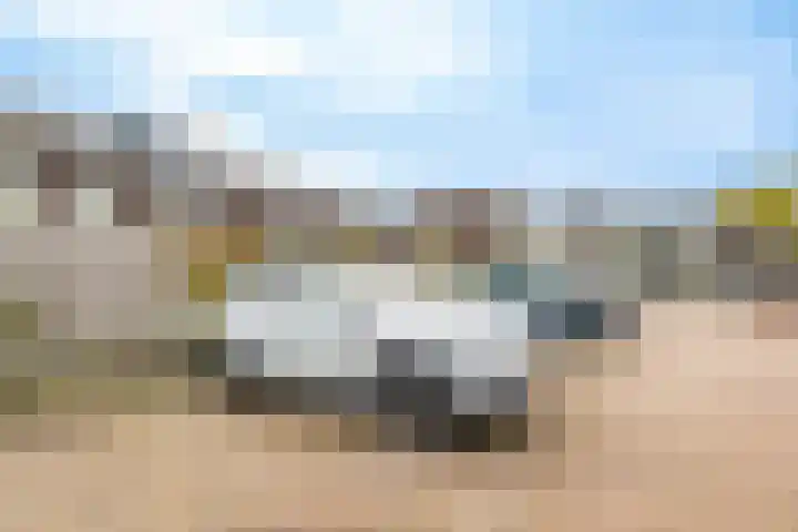 Loevenhoutsedijk 321 Utrecht thumbnail 45