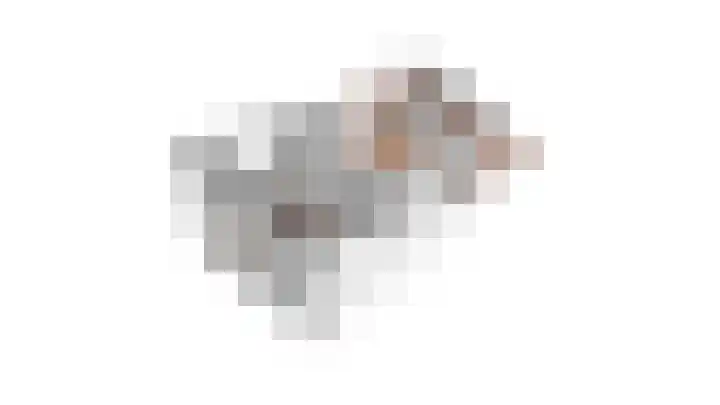 Loevenhoutsedijk 321 Utrecht thumbnail 62