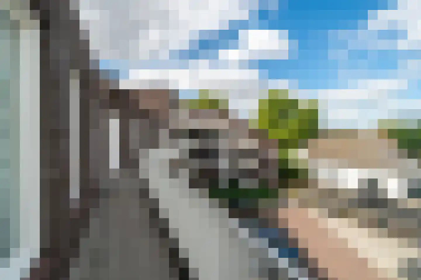 Loevenhoutsedijk 375 Utrecht thumbnail 23