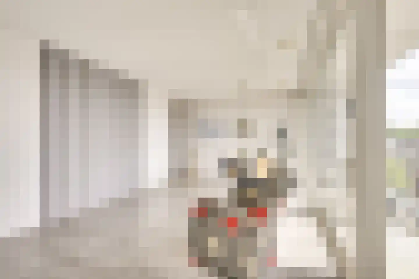 Loevenhoutsedijk 377 Utrecht thumbnail 13