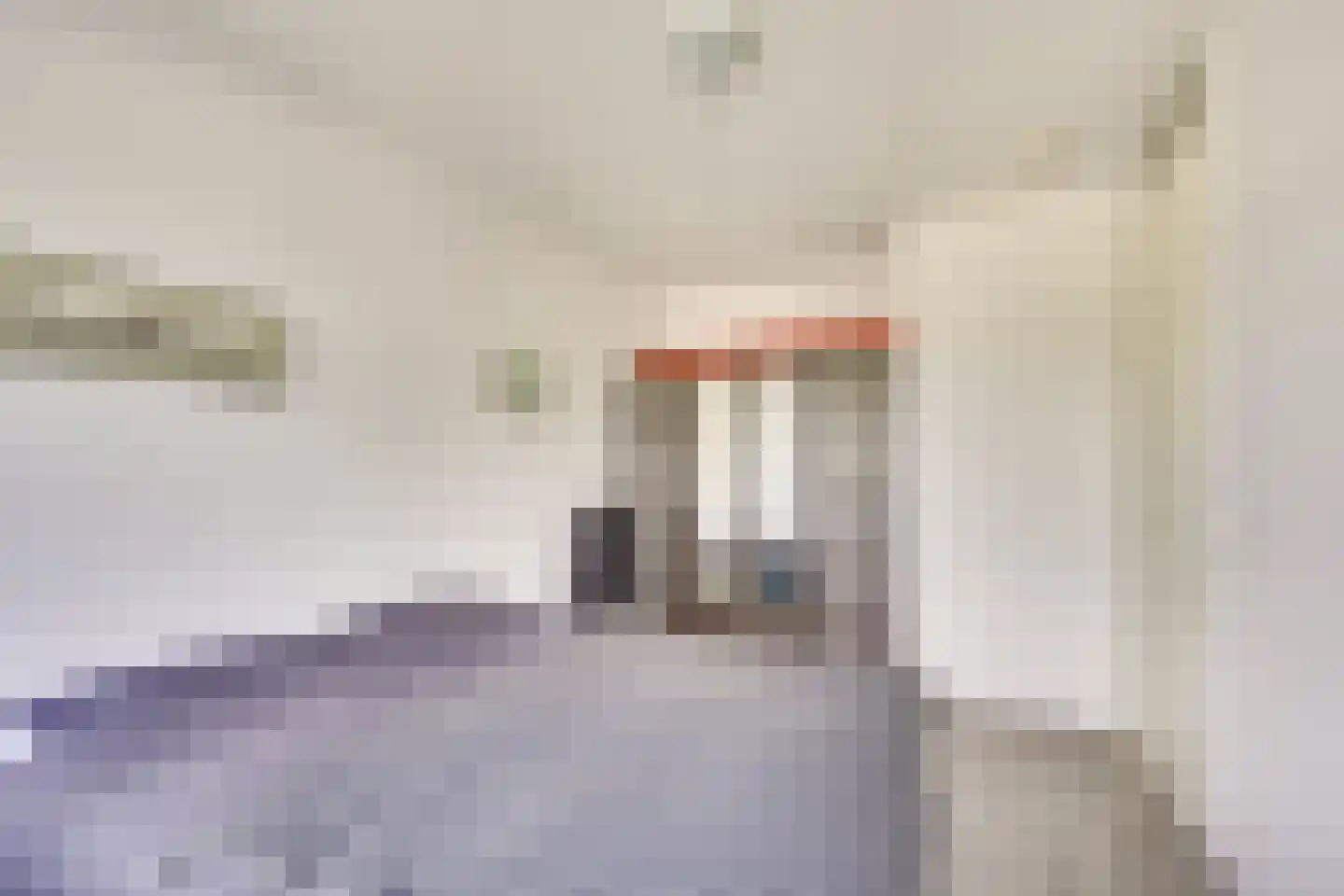 Loevenhoutsedijk 377 Utrecht thumbnail 16