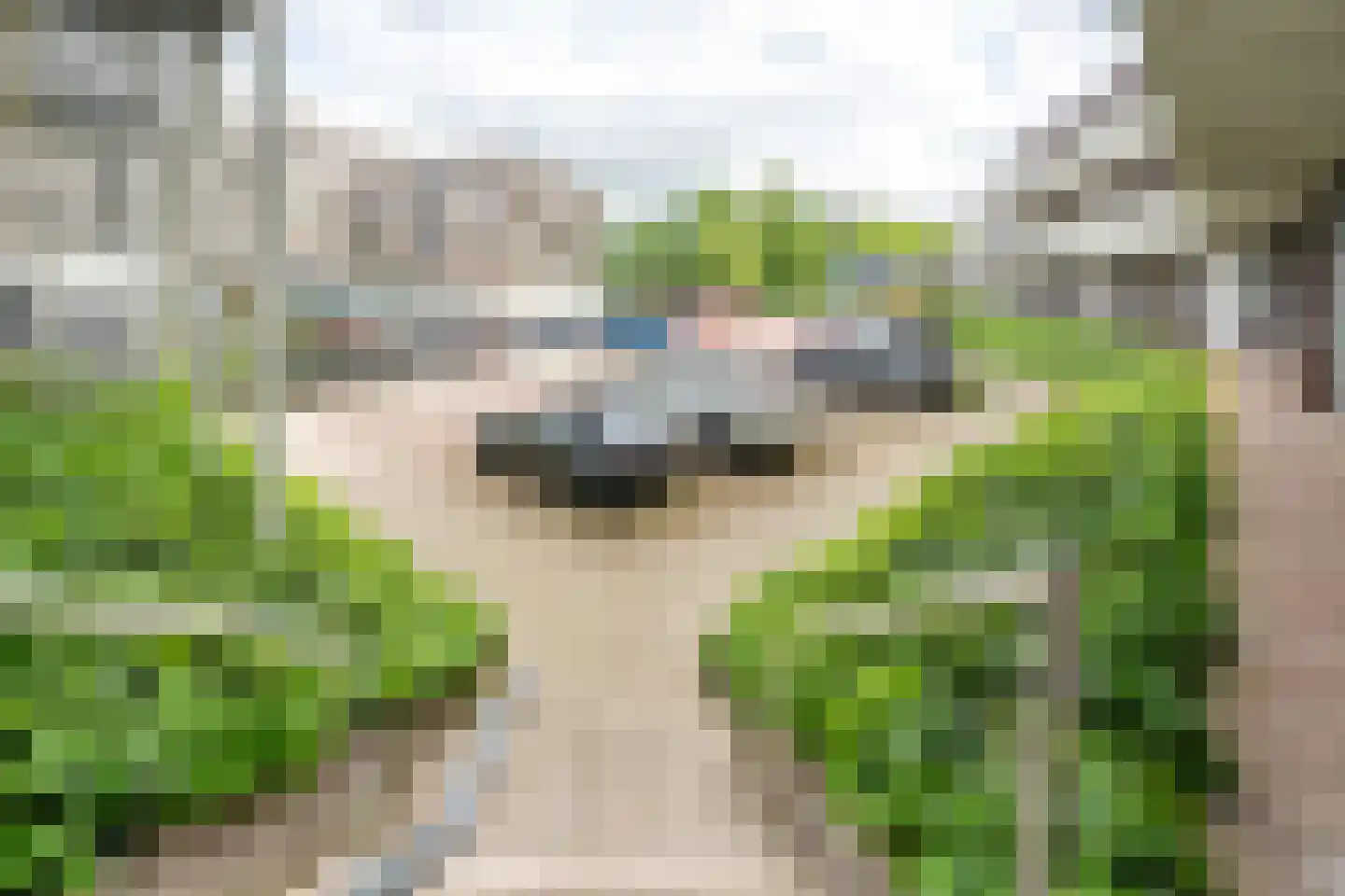 Loevenhoutsedijk 377 Utrecht thumbnail 25