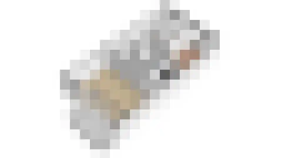 Loevenhoutsedijk 377 Utrecht thumbnail 35