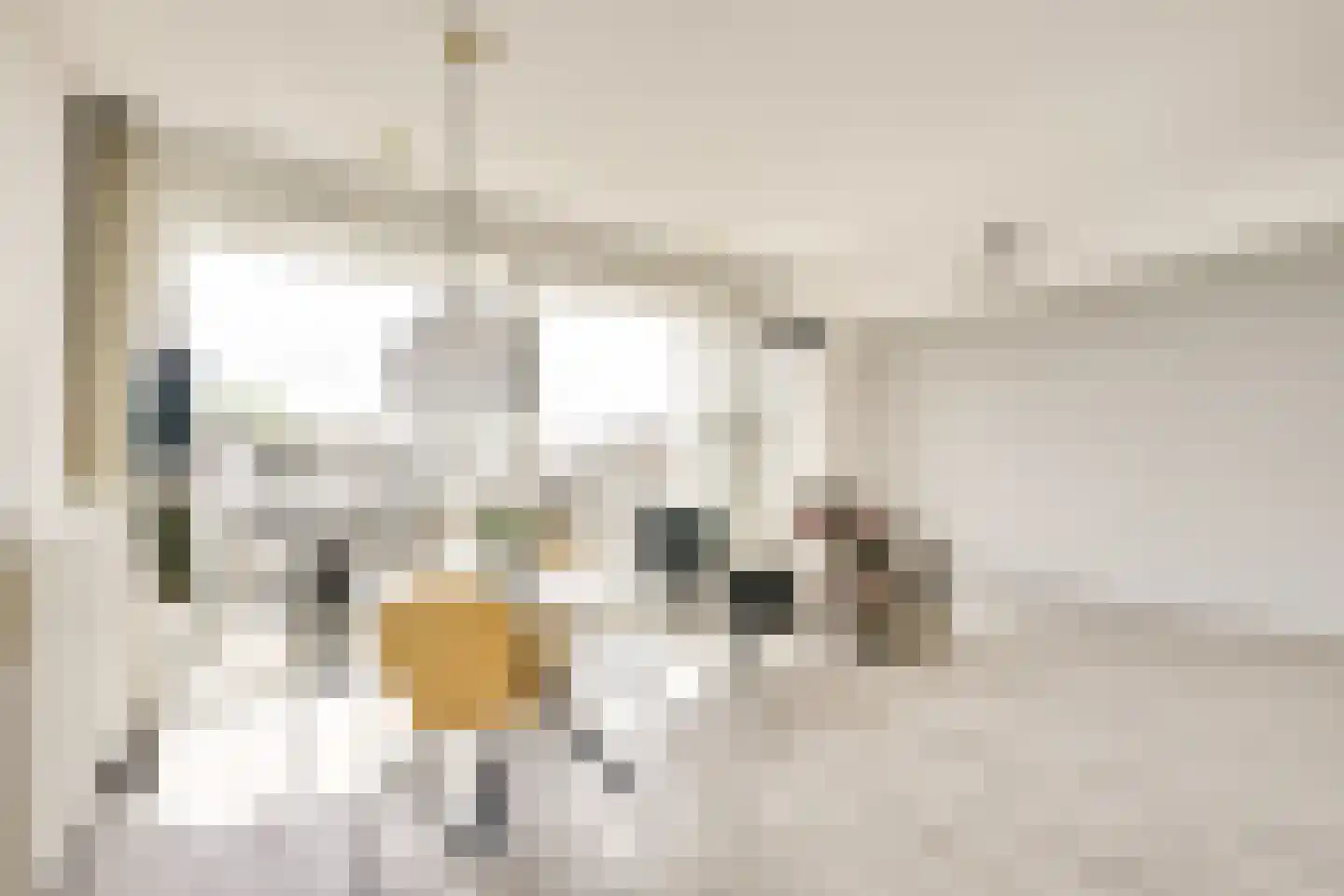 Loevenhoutsedijk 377 Utrecht thumbnail 8
