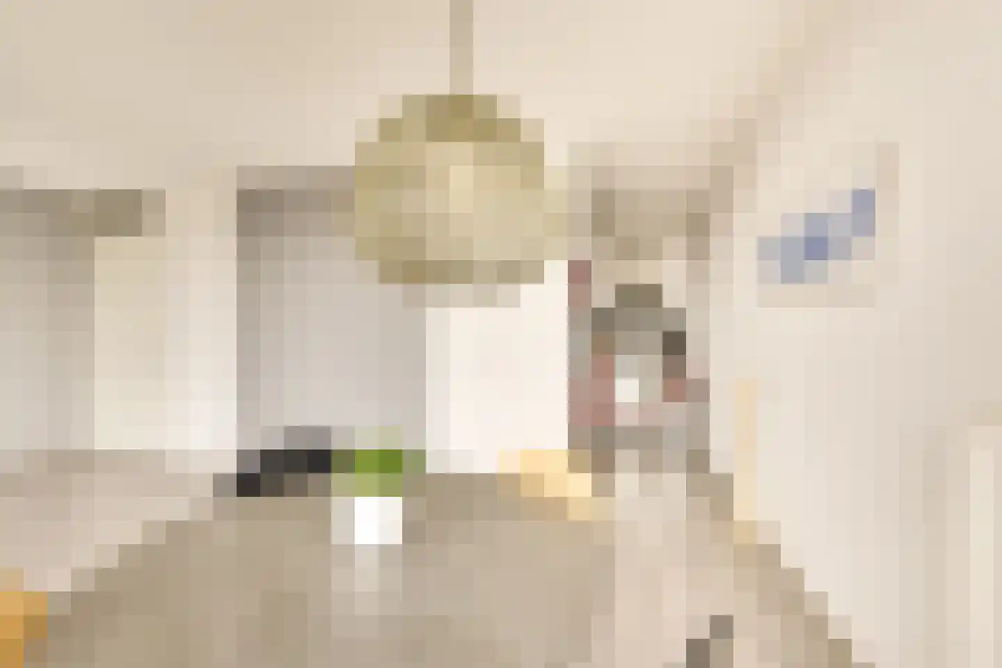 Loevenhoutsedijk 377 Utrecht thumbnail 9