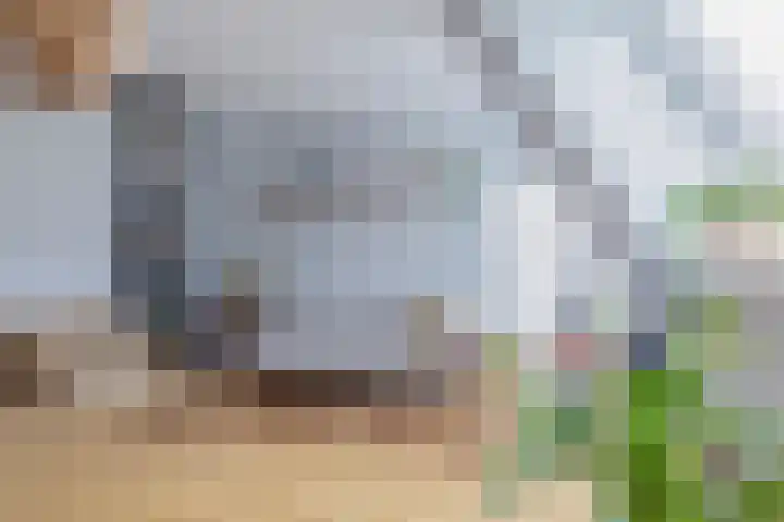 Loevenhoutsedijk 68 Utrecht thumbnail 11