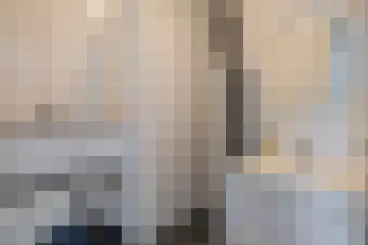 Loevenhoutsedijk 68 Utrecht thumbnail 19