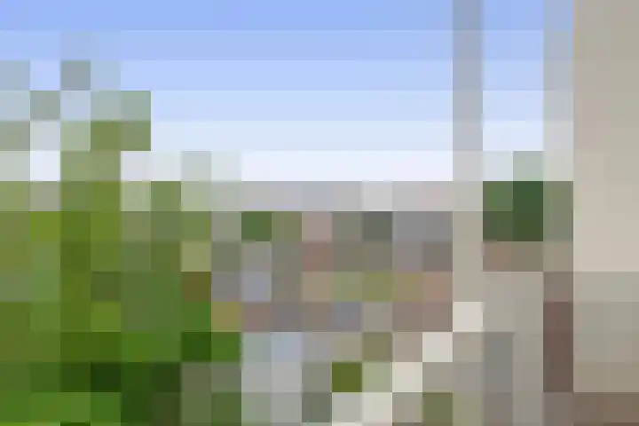 Loevenhoutsedijk 68 Utrecht thumbnail 28