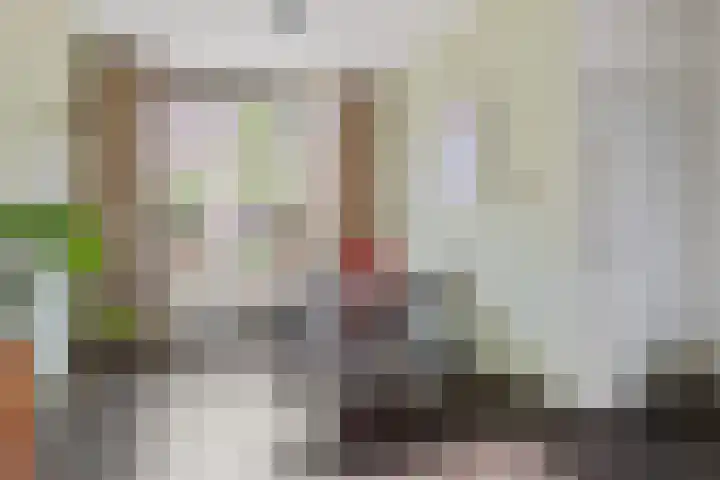 Loevenhoutsedijk 84 Utrecht thumbnail 12