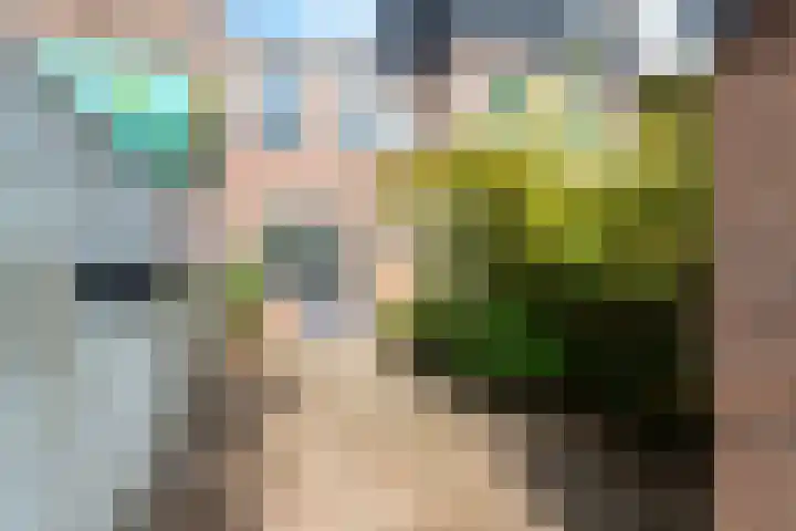 Loevenhoutsedijk 84 Utrecht thumbnail 24