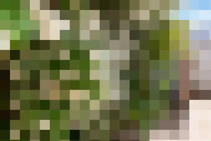 Loevenhoutsedijk 84 Utrecht thumbnail 27