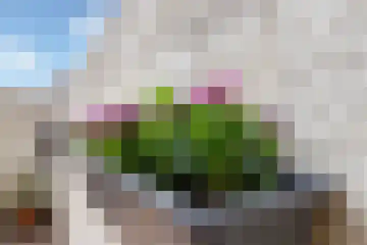 Loevenhoutsedijk 84 Utrecht thumbnail 28