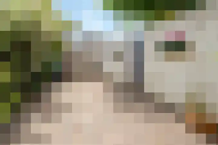 Loevenhoutsedijk 84 Utrecht thumbnail 29