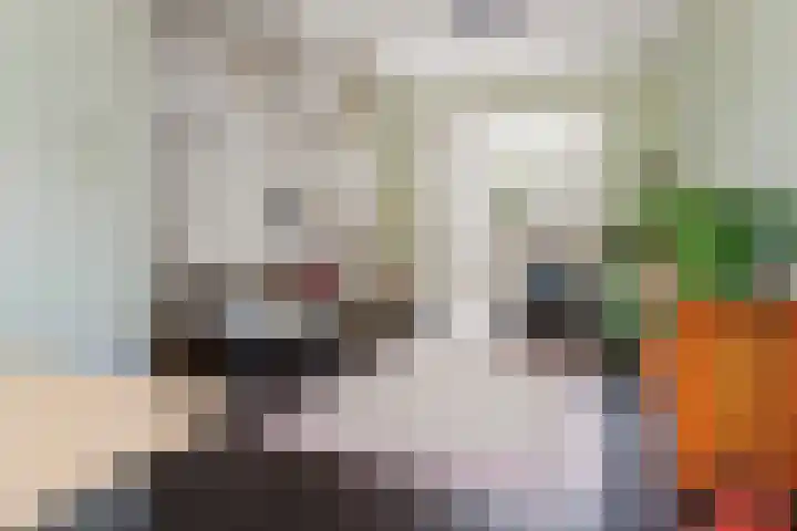 Loevenhoutsedijk 84 Utrecht thumbnail 4