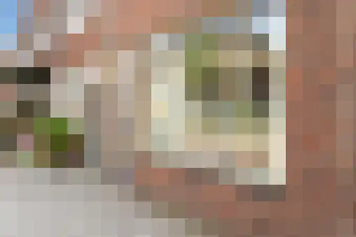 Loevenhoutsedijk 84 Utrecht thumbnail 7