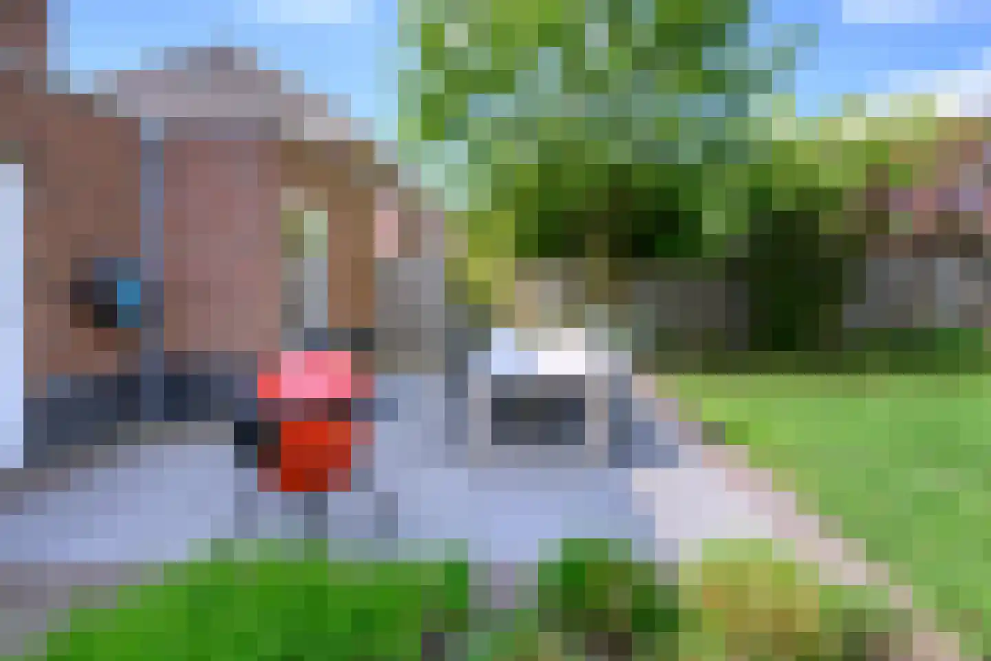 Loevenich 4 Leuvenheim thumbnail 28