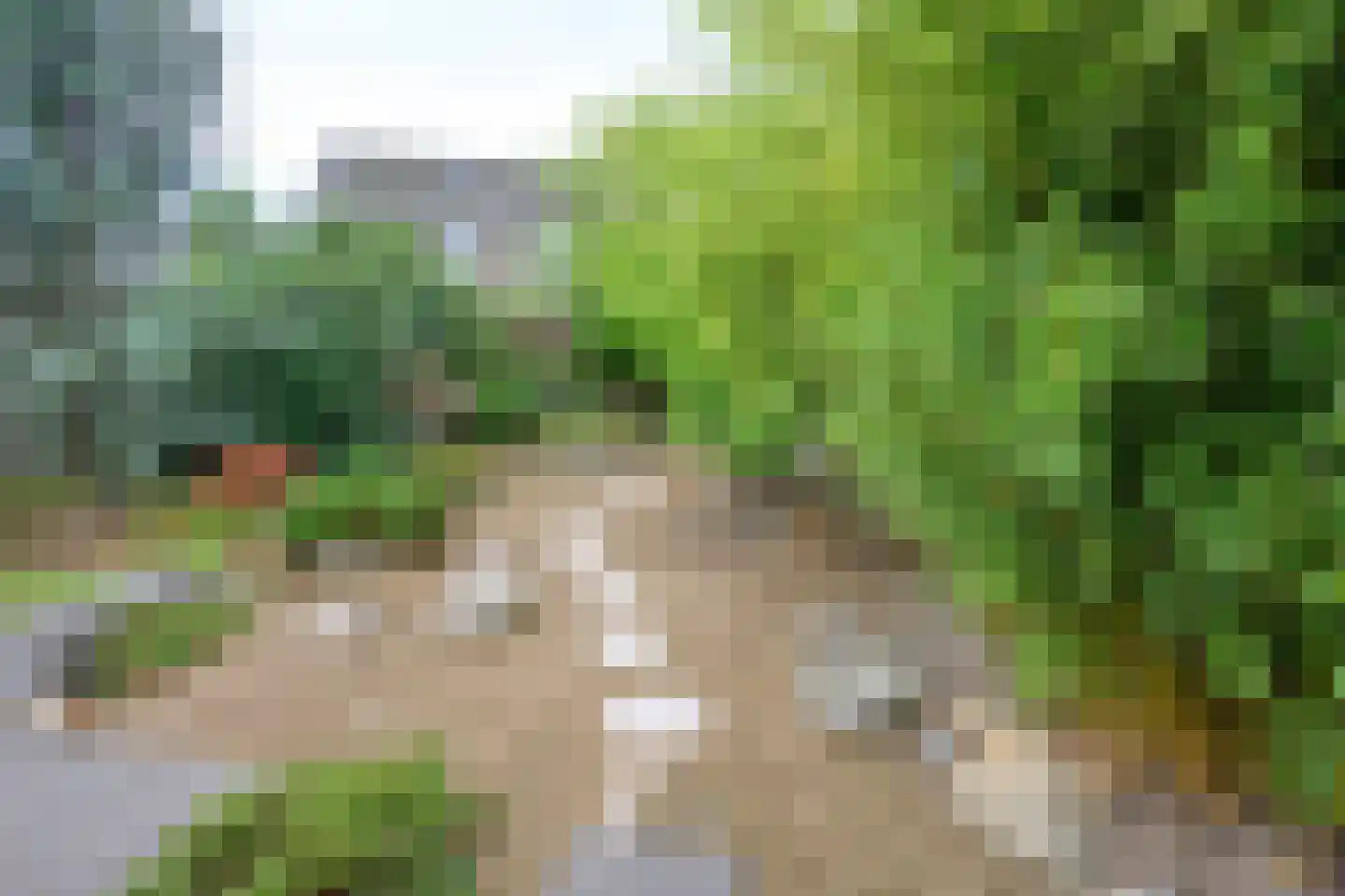 Loevenich 6 Leuvenheim thumbnail 20