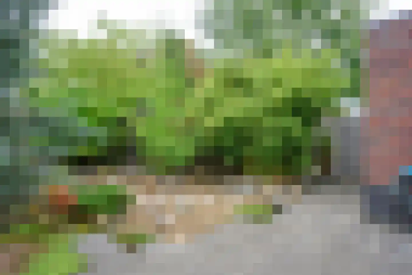 Loevenich 6 Leuvenheim thumbnail 22
