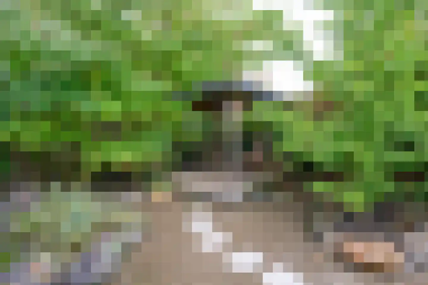 Loevenich 6 Leuvenheim thumbnail 23