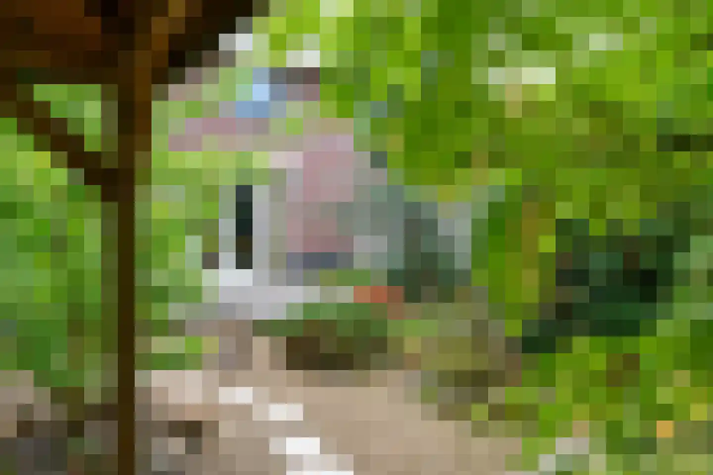 Loevenich 6 Leuvenheim thumbnail 24