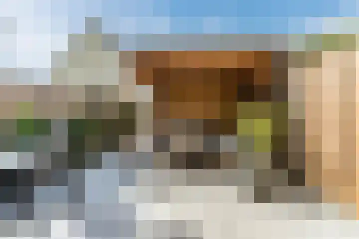 Loevensteinlaan 113 Oosterhout thumbnail 15
