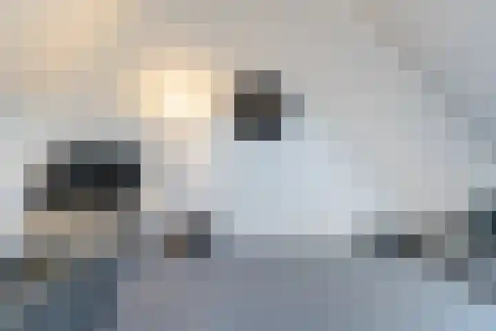 Loevensteinlaan 113 Oosterhout thumbnail 30