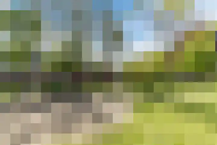 Loevensteinlaan 113 Oosterhout thumbnail 35