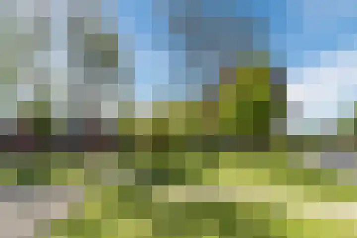 Loevensteinlaan 113 Oosterhout thumbnail 36