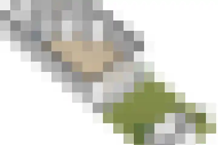 Loevensteinlaan 117 Oosterhout thumbnail 45