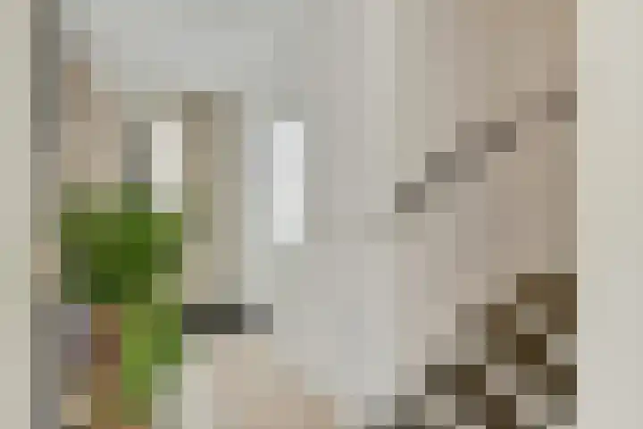 Loevensteinlaan 117 Oosterhout thumbnail 8
