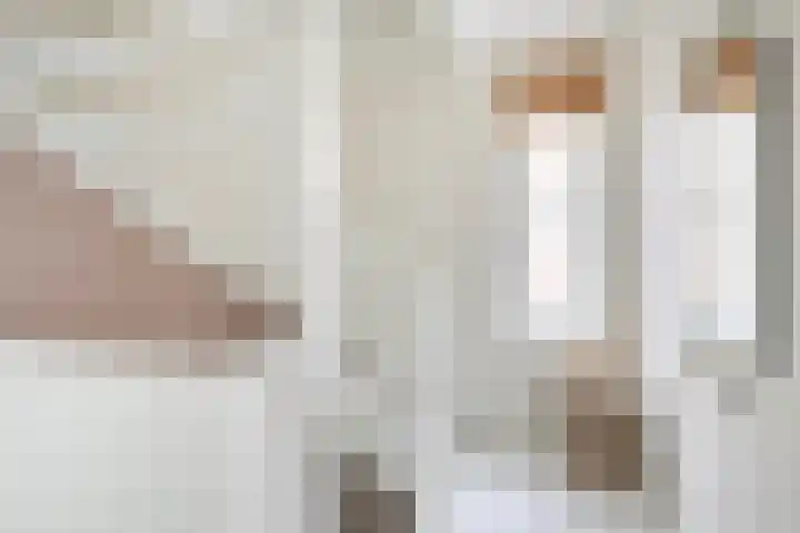 Loevensteinlaan 14 Oosterhout thumbnail 19