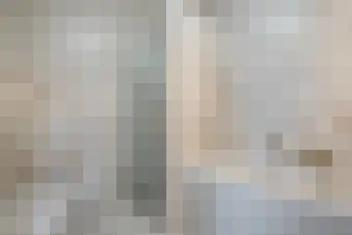 Loevensteinlaan 14 Oosterhout thumbnail 21