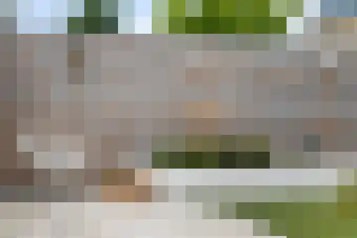 Loevensteinlaan 14 Oosterhout thumbnail 38