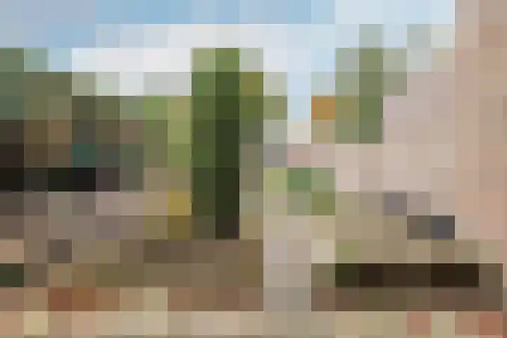 Loevensteinlaan 2 F Oosterhout thumbnail 29