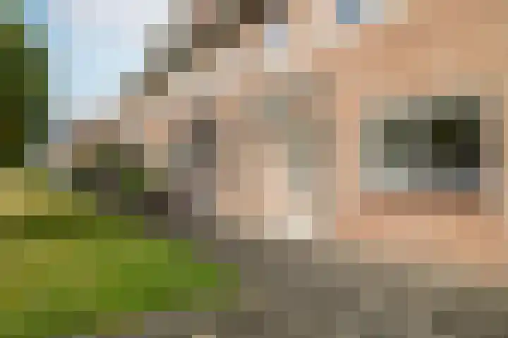 Loevensteinlaan 2 F Oosterhout thumbnail 4