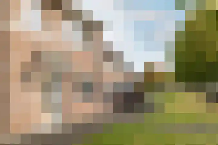 Loevensteinlaan 2 F Oosterhout thumbnail 5